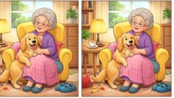 8-Second Challenge: Spot 3 Differences in the Grandma and Dog Image