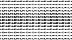 Optical Illusion Challenge: Spot the Odd 8249 Among 8429s