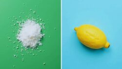 The science behind why blonde hair turns green in swimming pools and the simple kitchen ingredient that neutralizes the chlorine