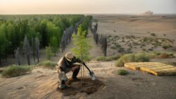 China’s billion-tree project is slowing desert expansion, but scientists warn it may be quietly damaging fragile ecosystems