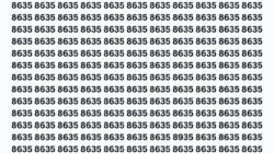 Optical Illusion IQ Test: Find 8935 Hidden Among Identical 8635s