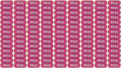 Quick IQ Challenge: Spot the 8935 Hidden Among 8635s in 7 Seconds