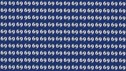Challenge Your Vision: Find the 96 and 66 Among the 69s in 6 Seconds