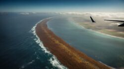 A brown ribbon as long as a continent has formed between the Atlantic and Africa, and it’s not a good sign