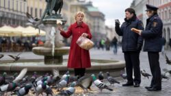 Good news for bird lovers who feed pigeons in the city: they now face steep fines “I’m just being kind to animals” – a clash between compassion and public health