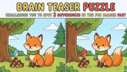 Brain Teaser Puzzle Challenges You to Spot 3 Differences in the Fox Images Fast