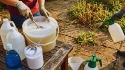 How to make an extremely powerful weedkiller with salt?