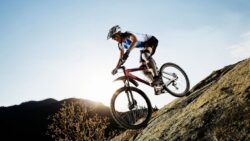 Walking and Cycling Both Burn Fat but One Delivers Better Strength and Weight Loss Results