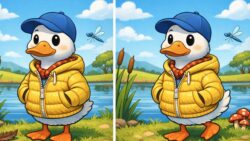 8-Second Visual Challenge: Can You Spot the 3 Differences in the Duck Wearing Jacket Image?