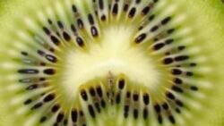 Kiwi officially recognised by the European Union and the UK as the only fruit proven to improve bowel transit